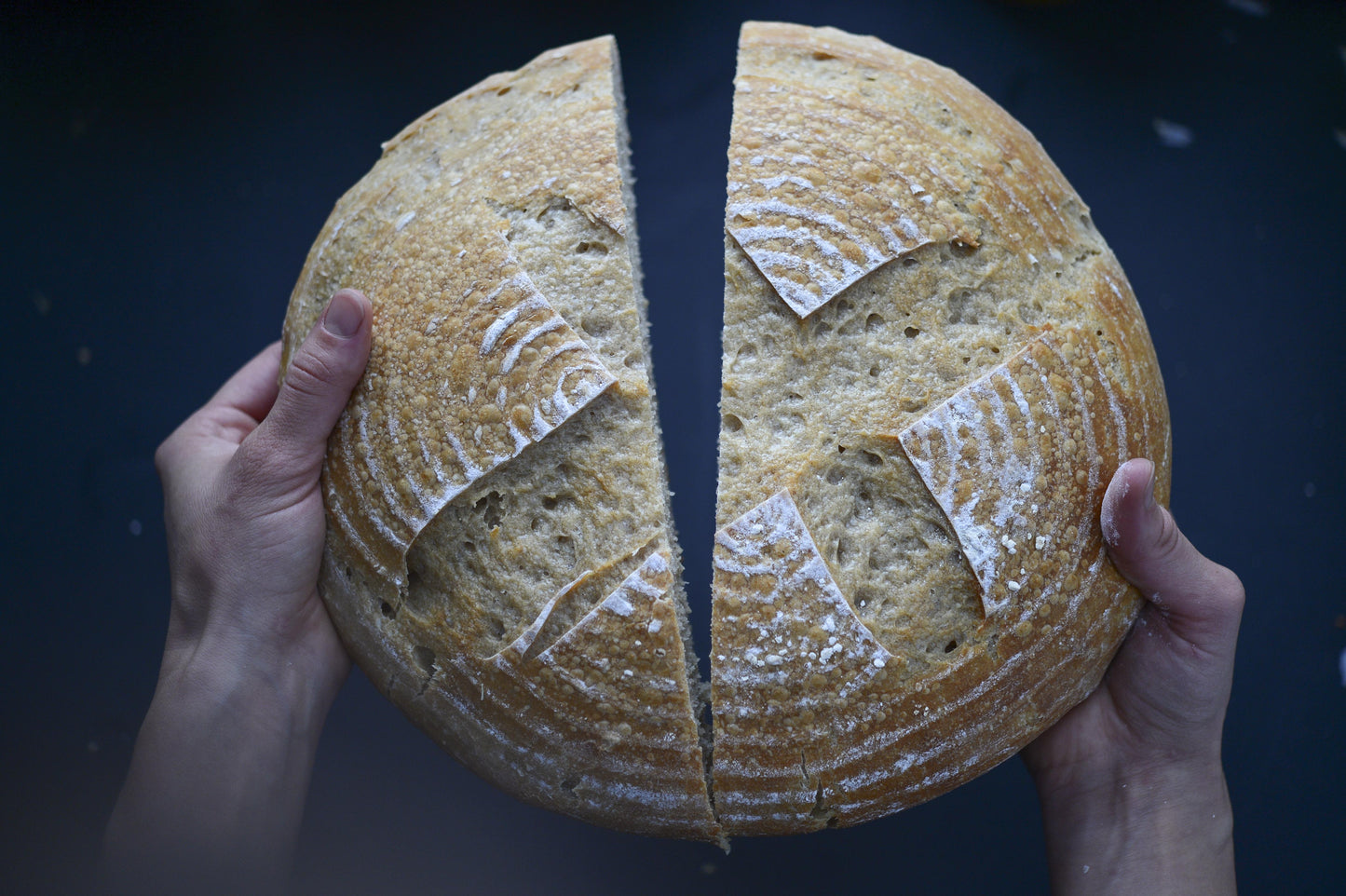 Gift Certificate - Sourdough Online Course