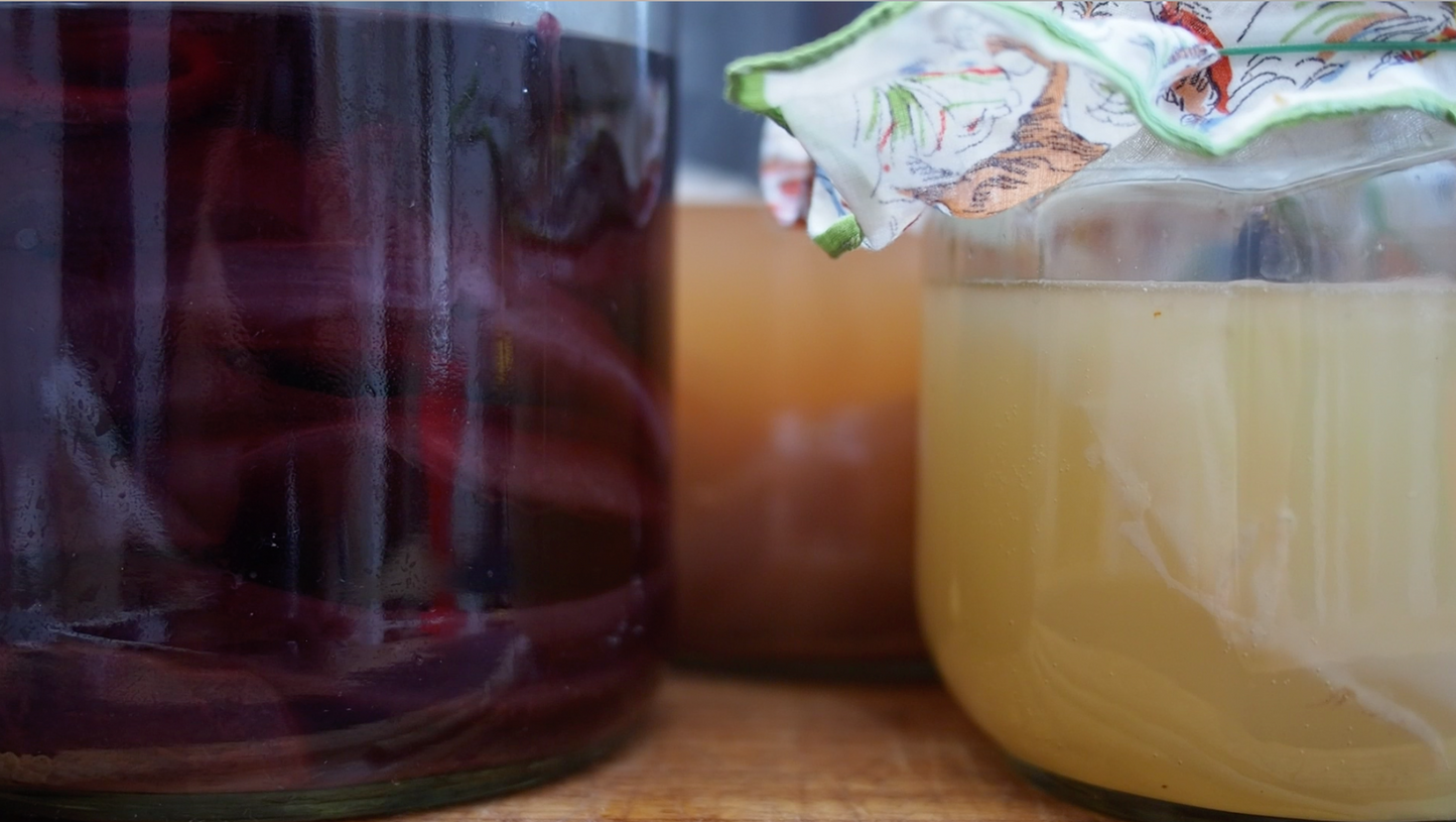 Gift Certificate - Kombucha Online Course