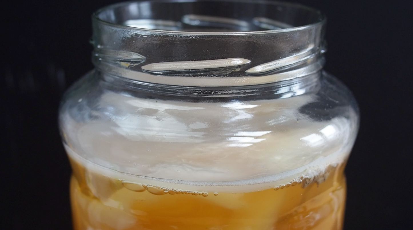 Gift Certificate - Kombucha Online Course