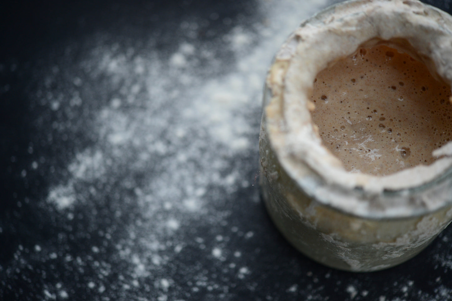 Sourdough Starter (159 years old!)