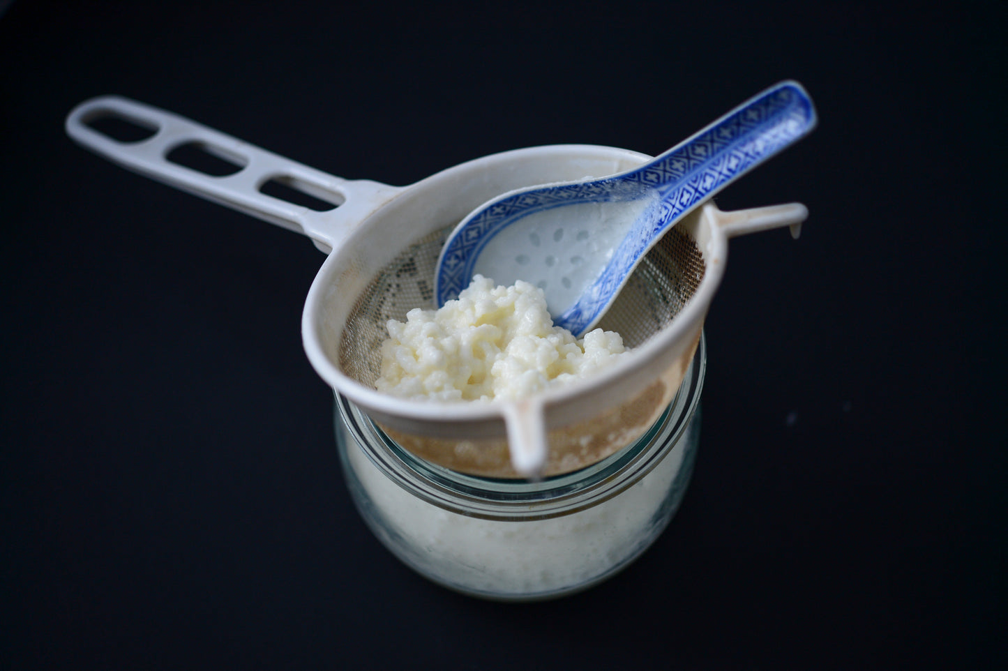 Milchkefirkörner – Frisch