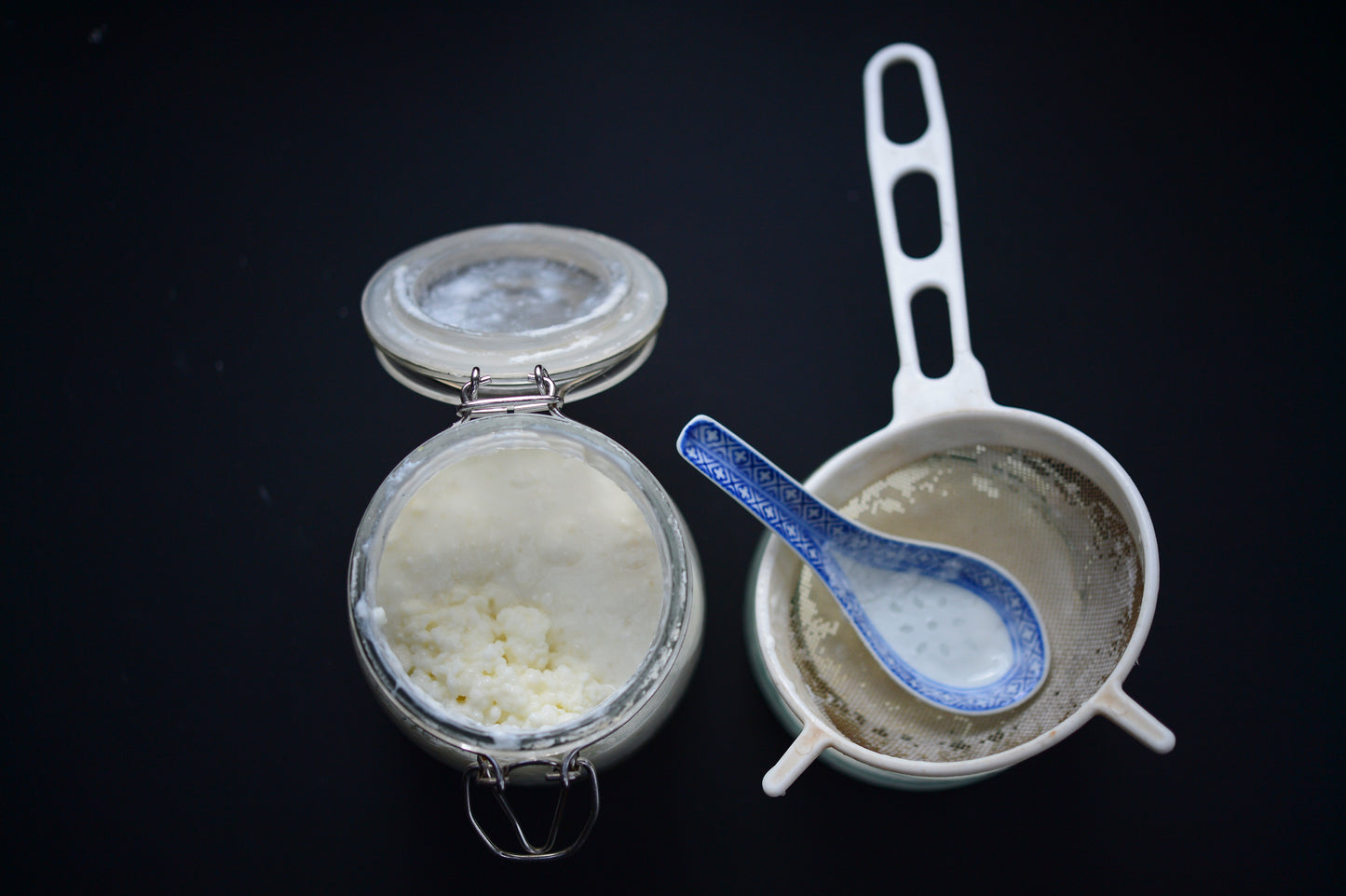 Milchkefirkörner – Frisch