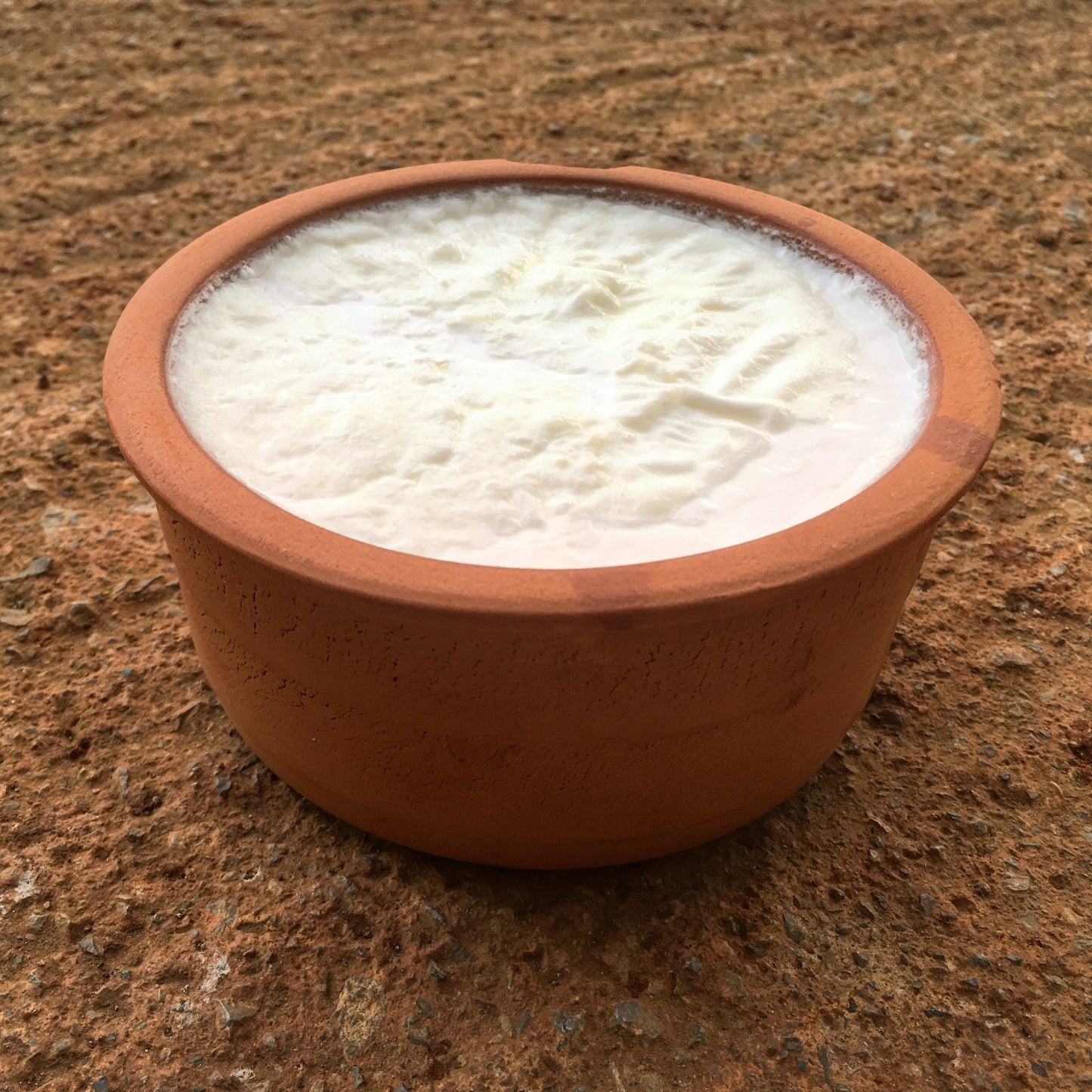 Greek Yogurt Culture – Fresh