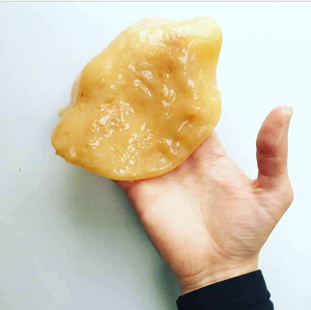 Gift Certificate - Kombucha Online Course
