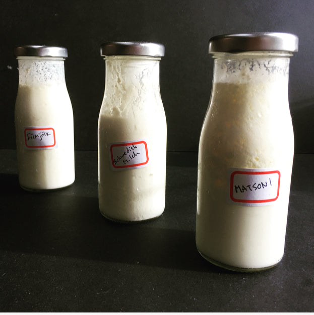 Matsoni - Heritage Yogurt Culture - Dried