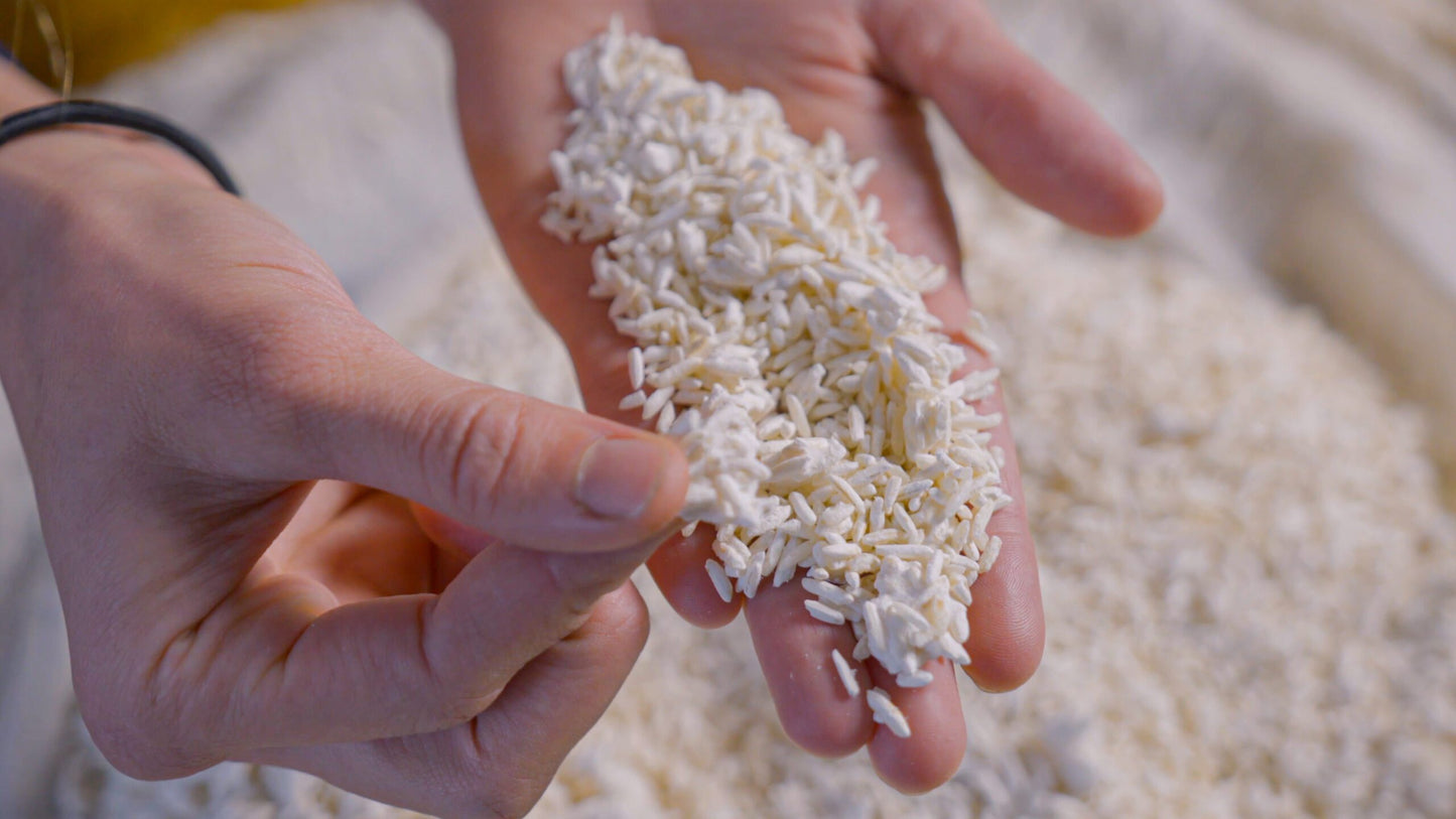 Koji & Miso Fermentation – Online Course