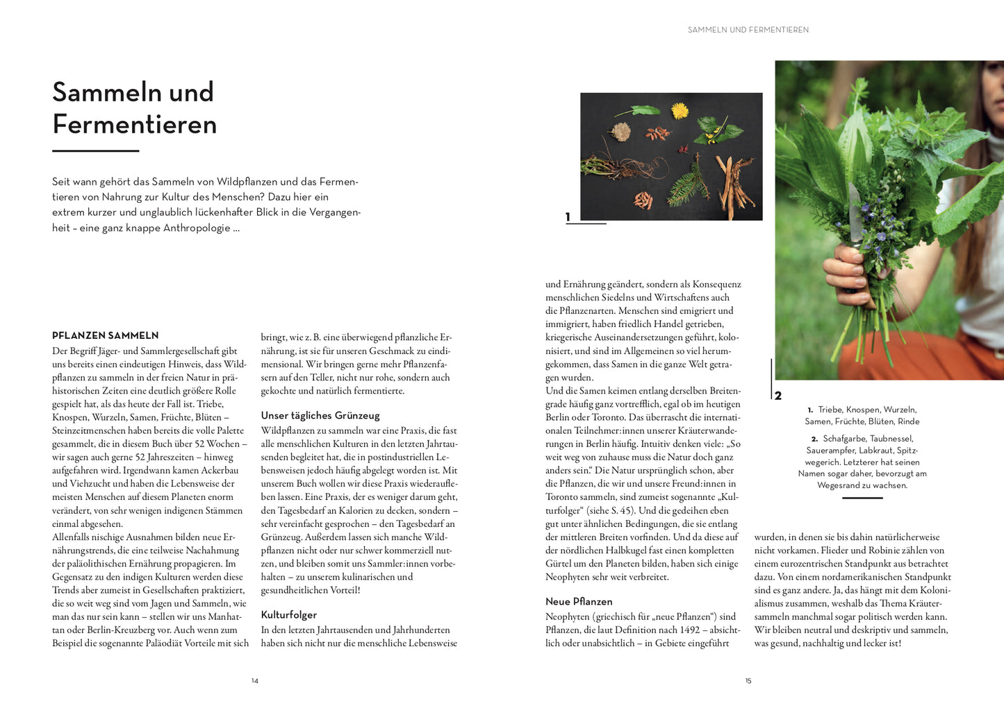 52 wilde Fermente: Jede Woche eine Wildpflanze sammeln und Fermentieren - Edible Alchemys Schule für Geschmack, Gesundheit und Ökologie (Buch)