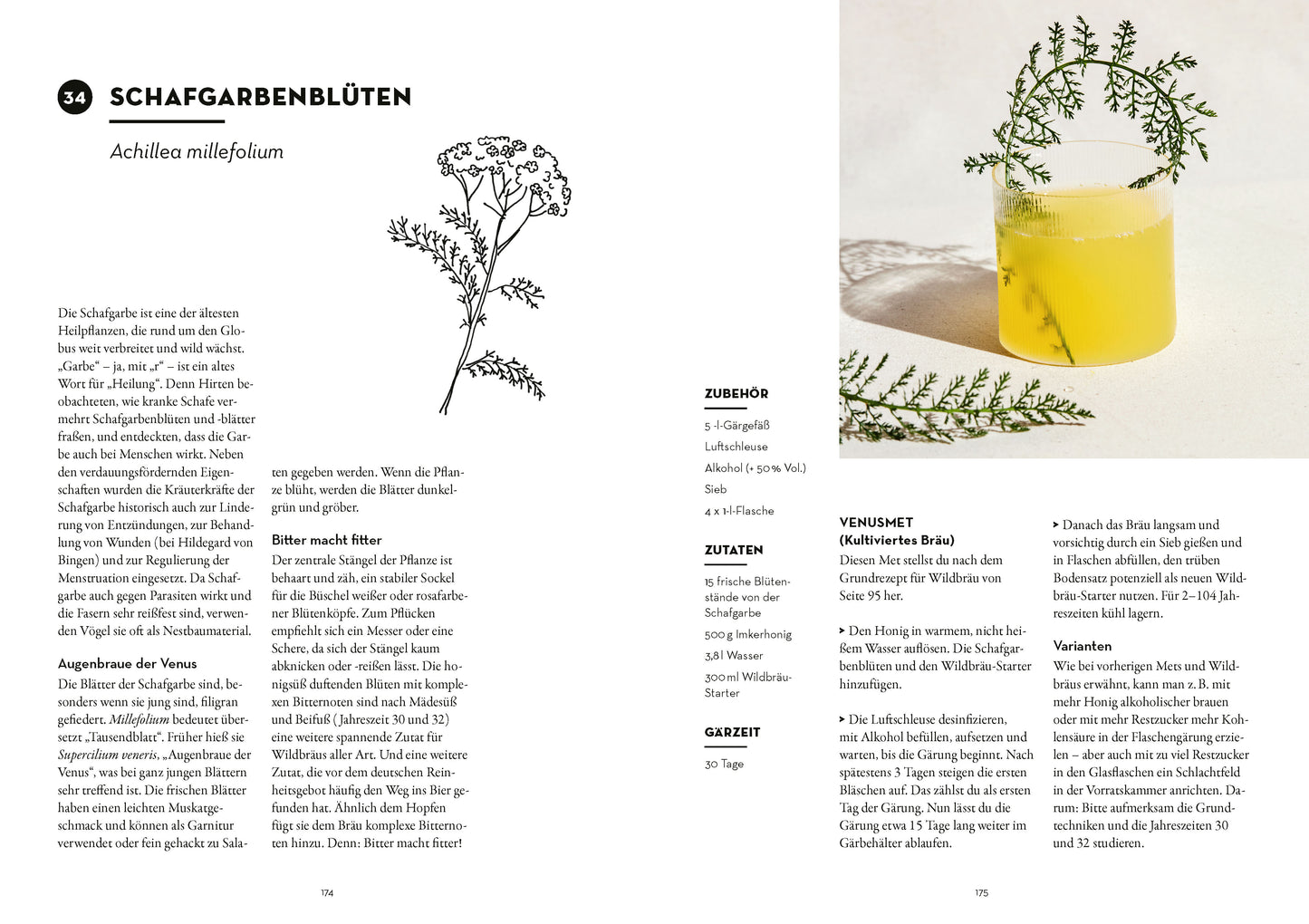 52 wilde Fermente: Jede Woche eine Wildpflanze sammeln und Fermentieren - Edible Alchemys Schule für Geschmack, Gesundheit und Ökologie (Buch)