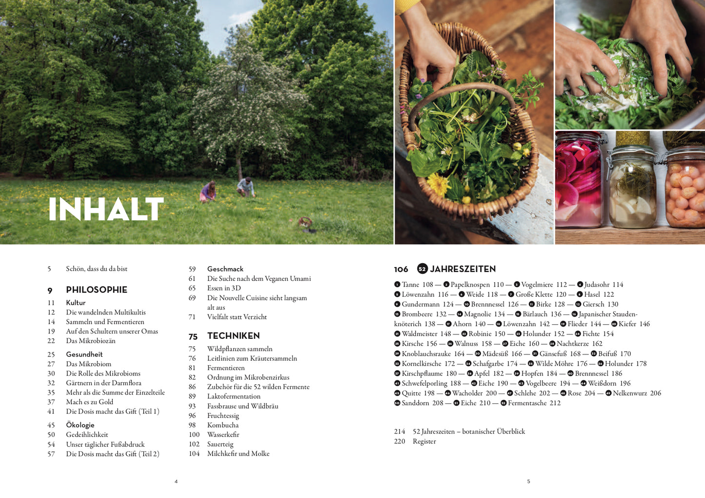 52 wilde Fermente: Jede Woche eine Wildpflanze sammeln und Fermentieren - Edible Alchemys Schule für Geschmack, Gesundheit und Ökologie (Buch)