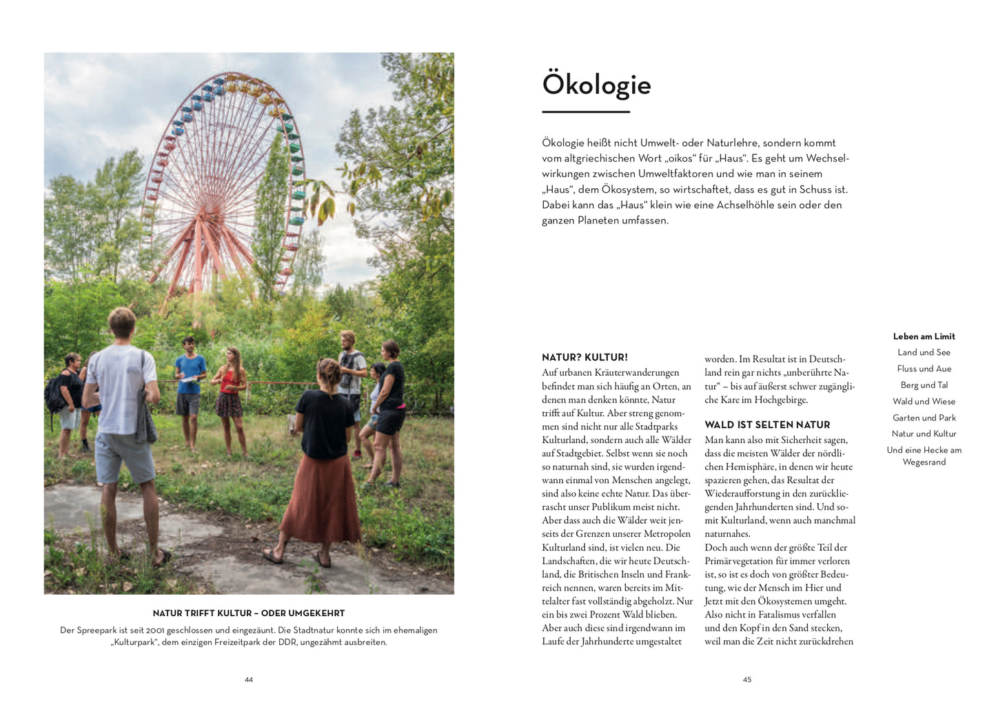 52 wilde Fermente: Jede Woche eine Wildpflanze sammeln und Fermentieren - Edible Alchemys Schule für Geschmack, Gesundheit und Ökologie (Buch)
