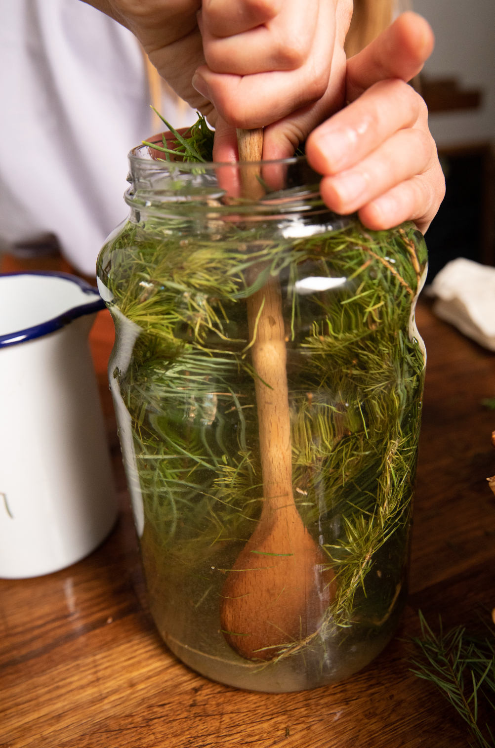 Ginger Beer & Wild Fermented Drinks Workshop