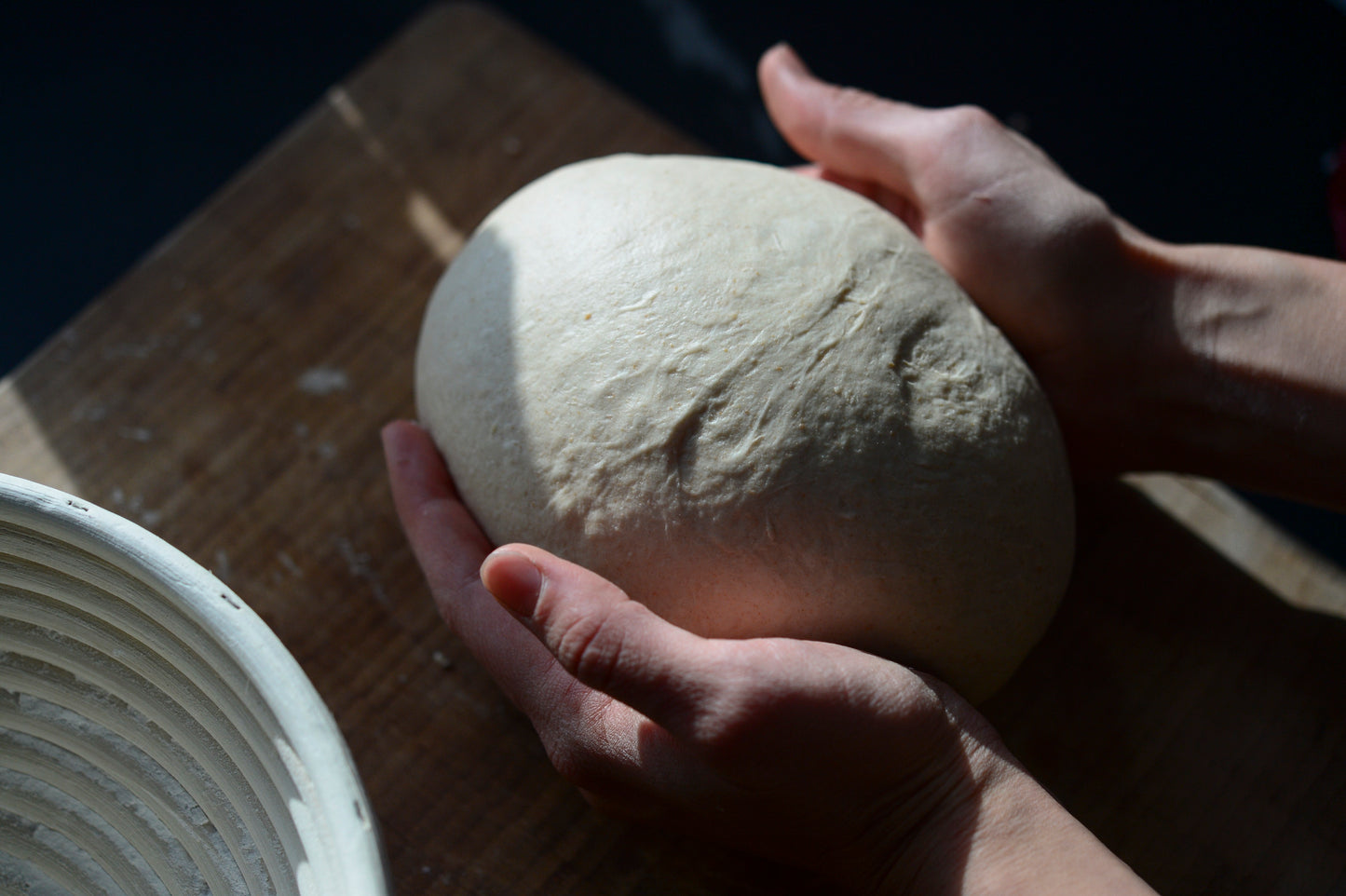 Sourdough Starter (159 years old!)