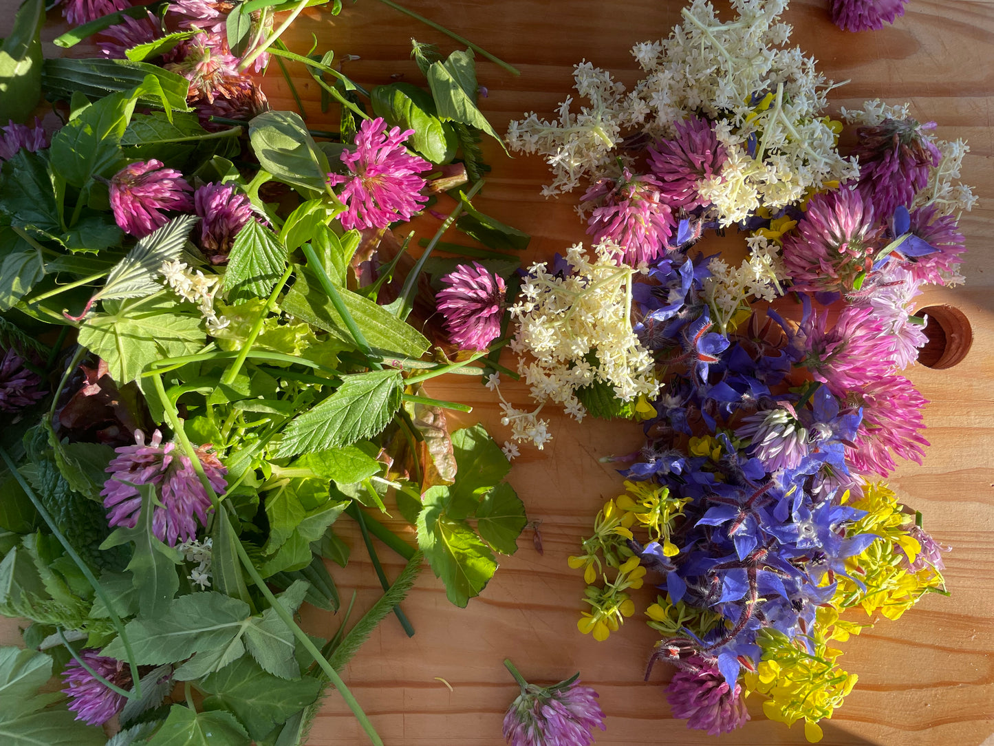 Herbal Handmande Pasta Workshop