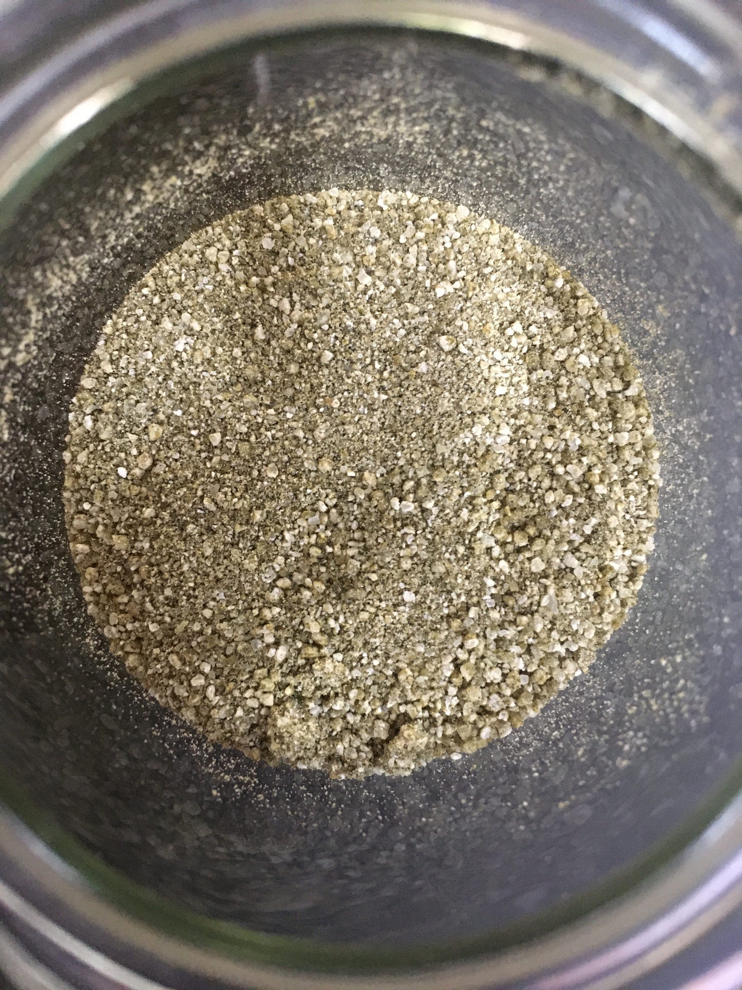 Koji Spores - Aspergillus oryzae