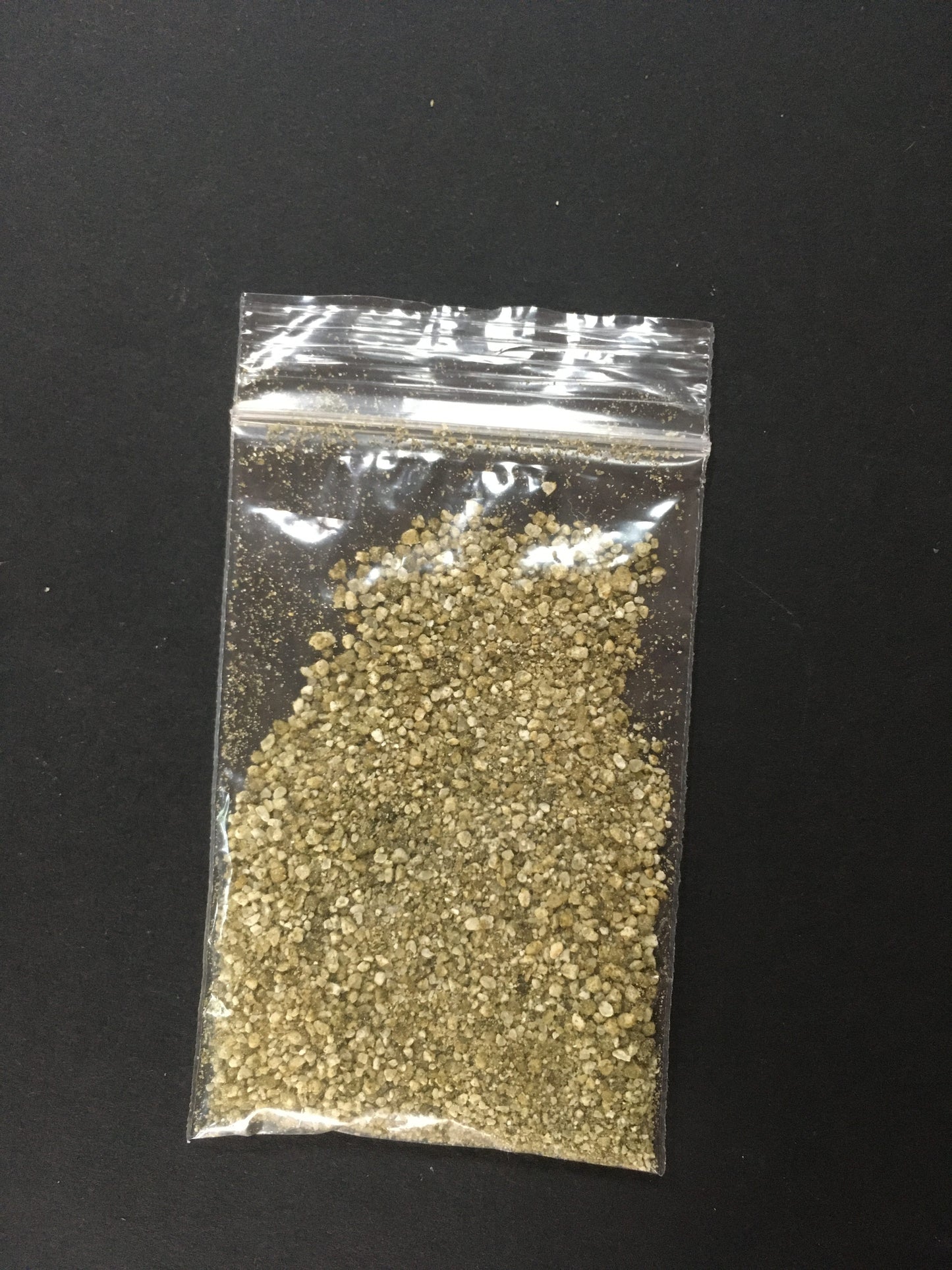 Koji Spores - Aspergillus oryzae