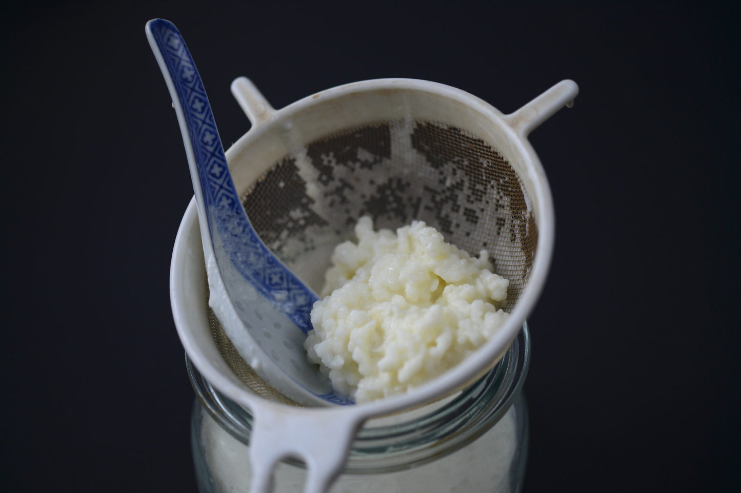 SCOBYs, Cultured Fermentation – Online Course