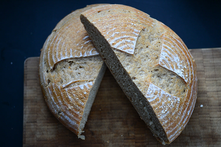 Sourdough Starter (159 years old!)