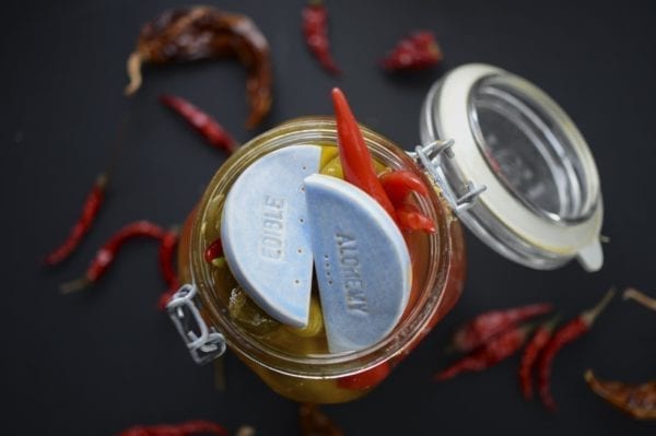 Vegetable Fermentation Kit - with access to our online course