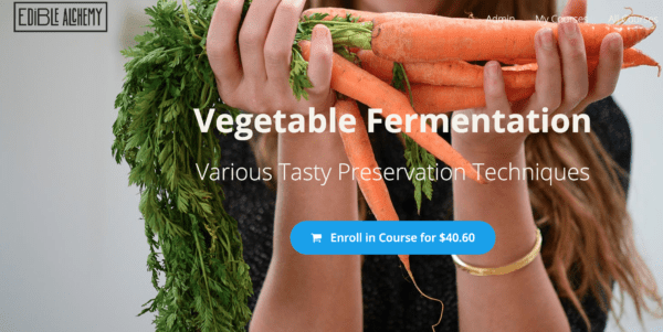 Vegetable Fermentation Kit - with access to our online course
