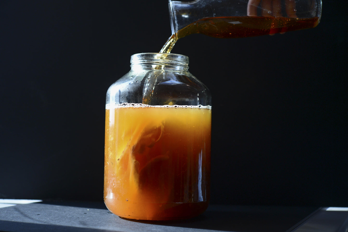 Kombucha SCOBY