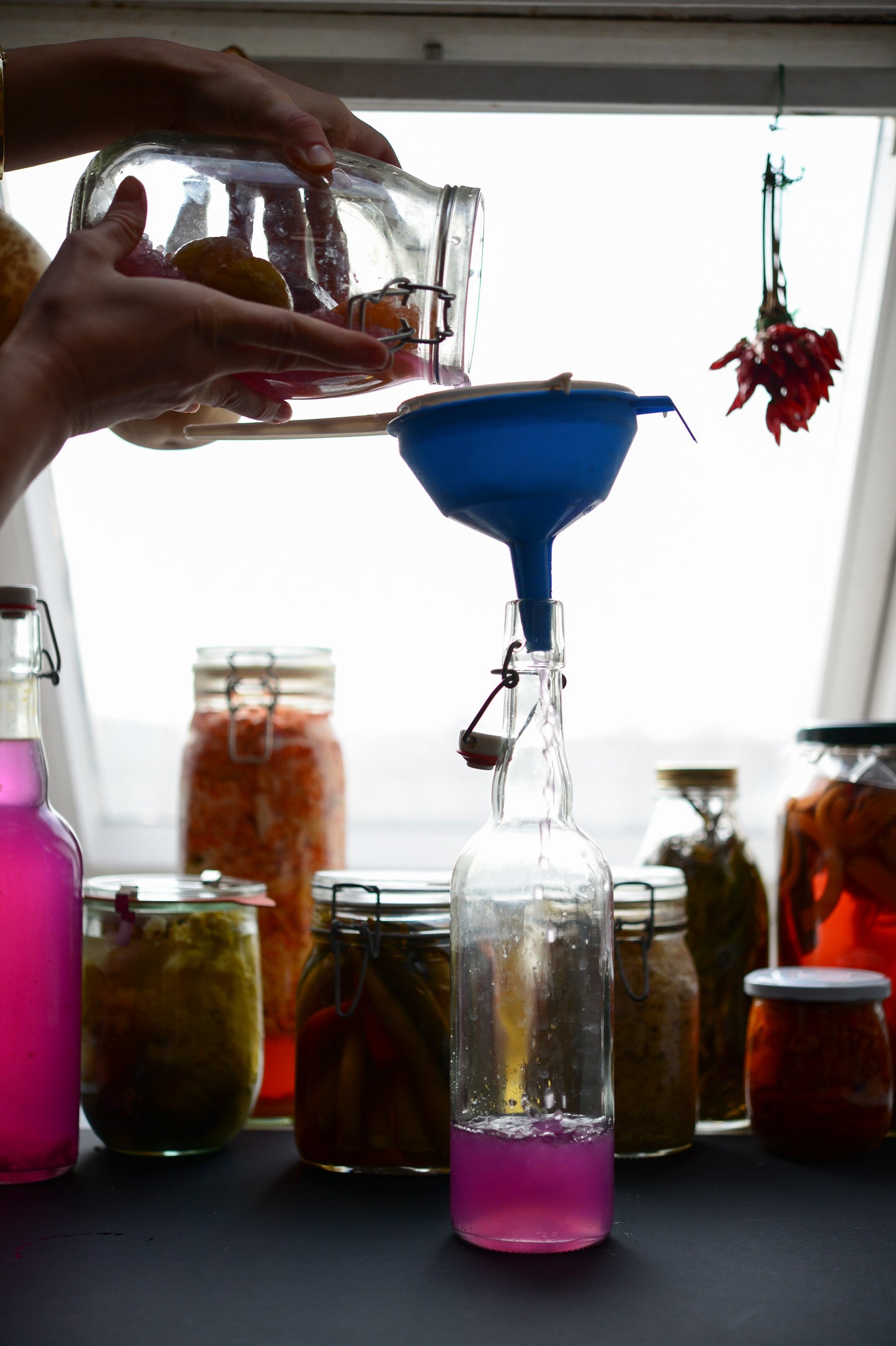 Water Kefir Grains - Dried (Tibicos)