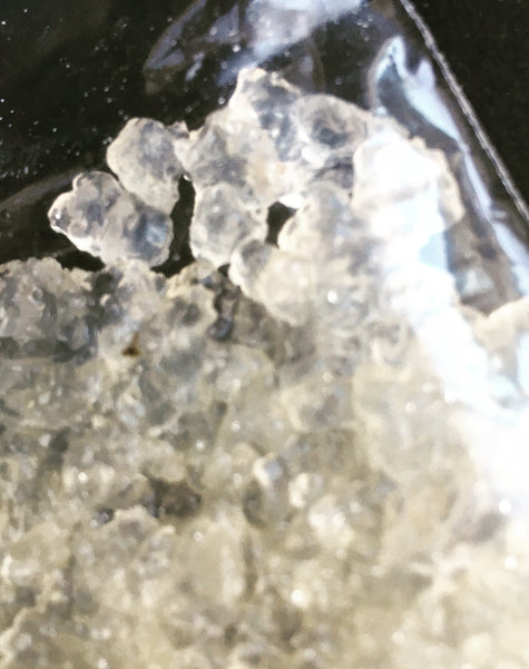 Water Kefir Crystals – Fresh (Tibicos)