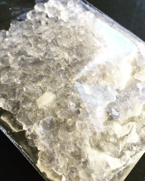 Water Kefir Crystals – Fresh (Tibicos)