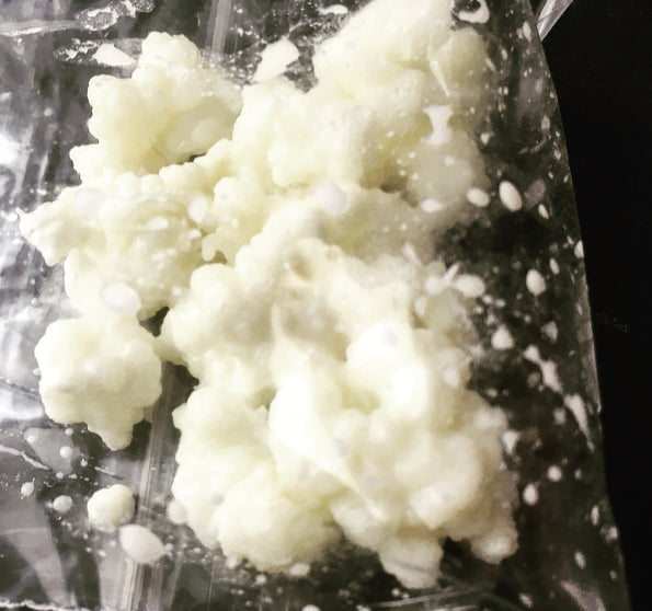 Milk Kefir Grains – Fresh