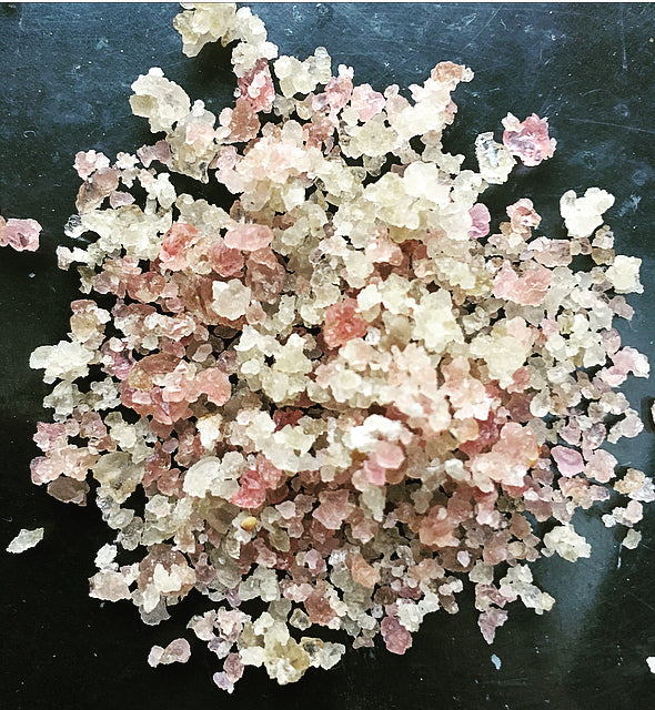 Water Kefir Grains - Dried (Tibicos)