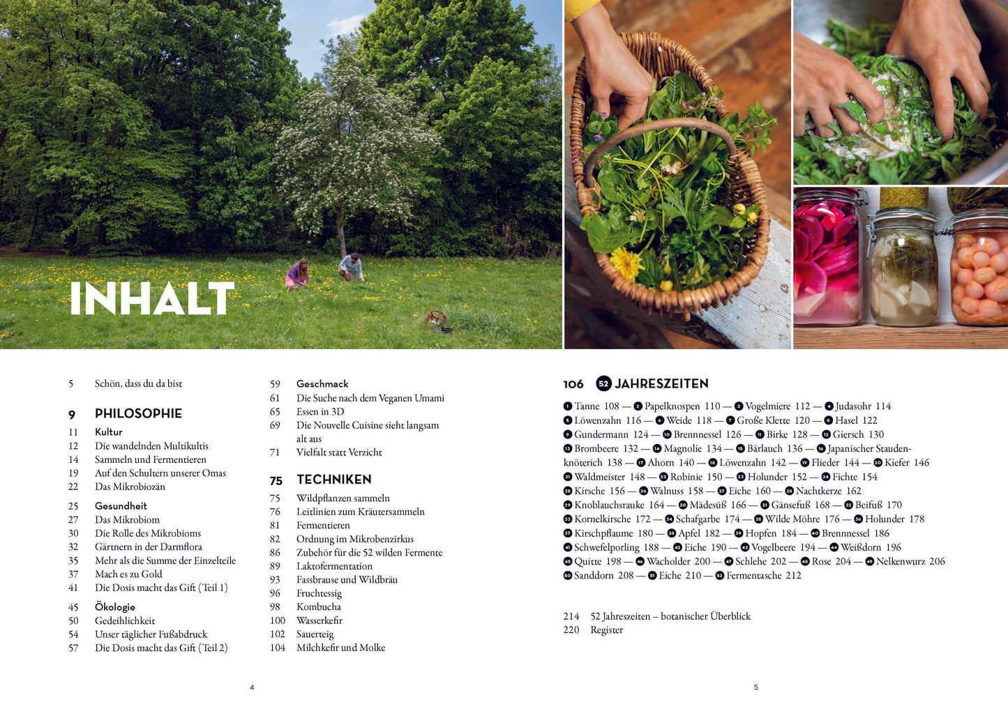 52 wilde Fermente: Jede Woche eine Wildpflanze sammeln und Fermentieren - Edible Alchemys Schule für Geschmack, Gesundheit und Ökologie