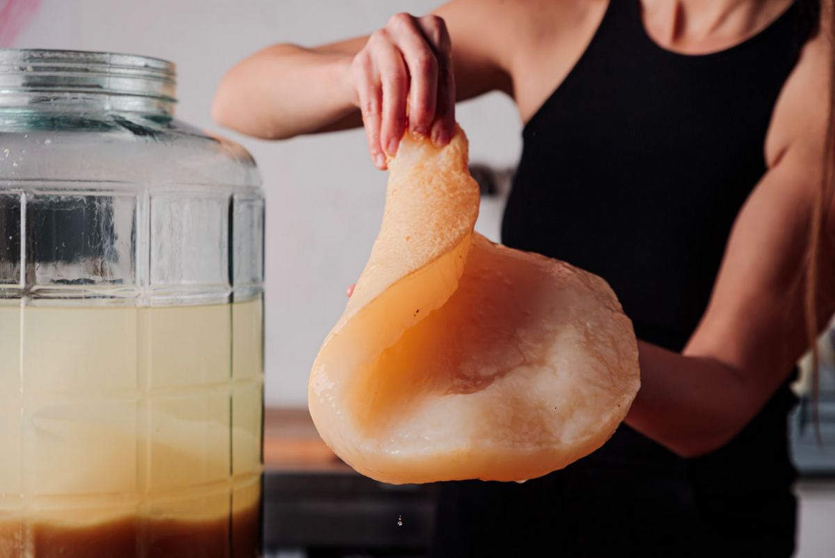 Kombucha Workshop