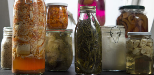 Vegetable Fermentation, Fruit Vinegars and Probiotic Immune Boosters – Online Course