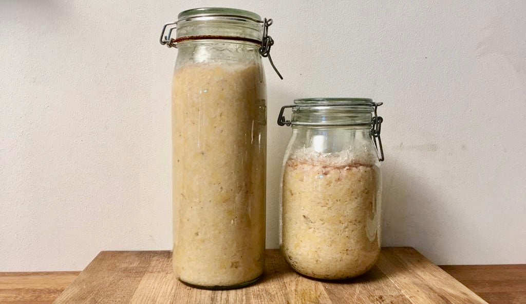 Miso & Koji Workshop