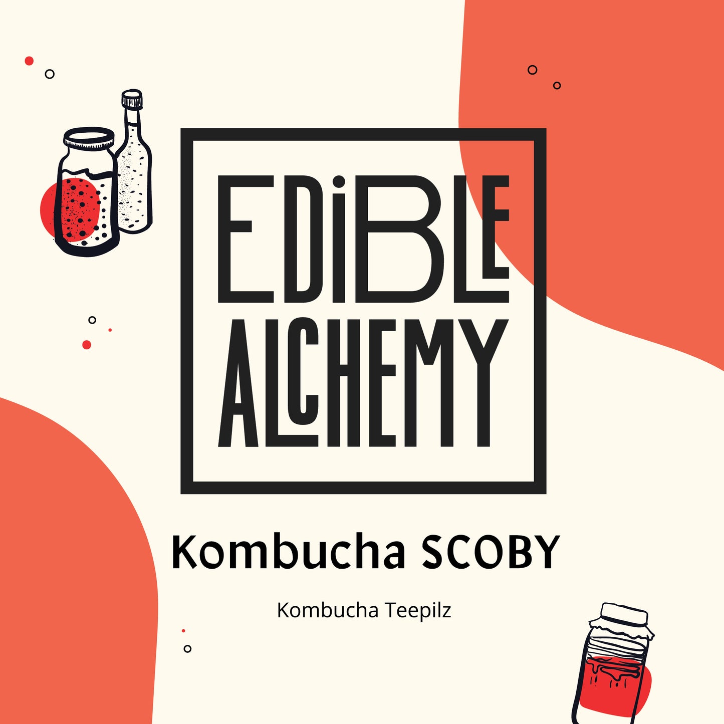 Kombucha SCOBY